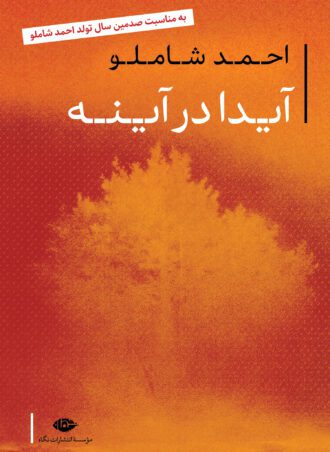 آیدا در آینه