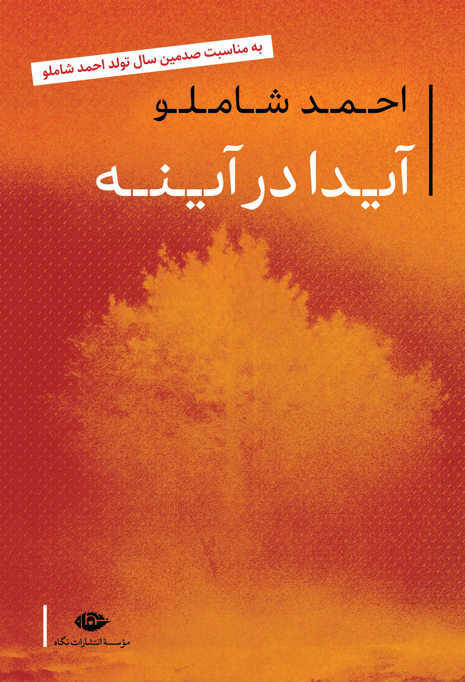 آیدا در آینه