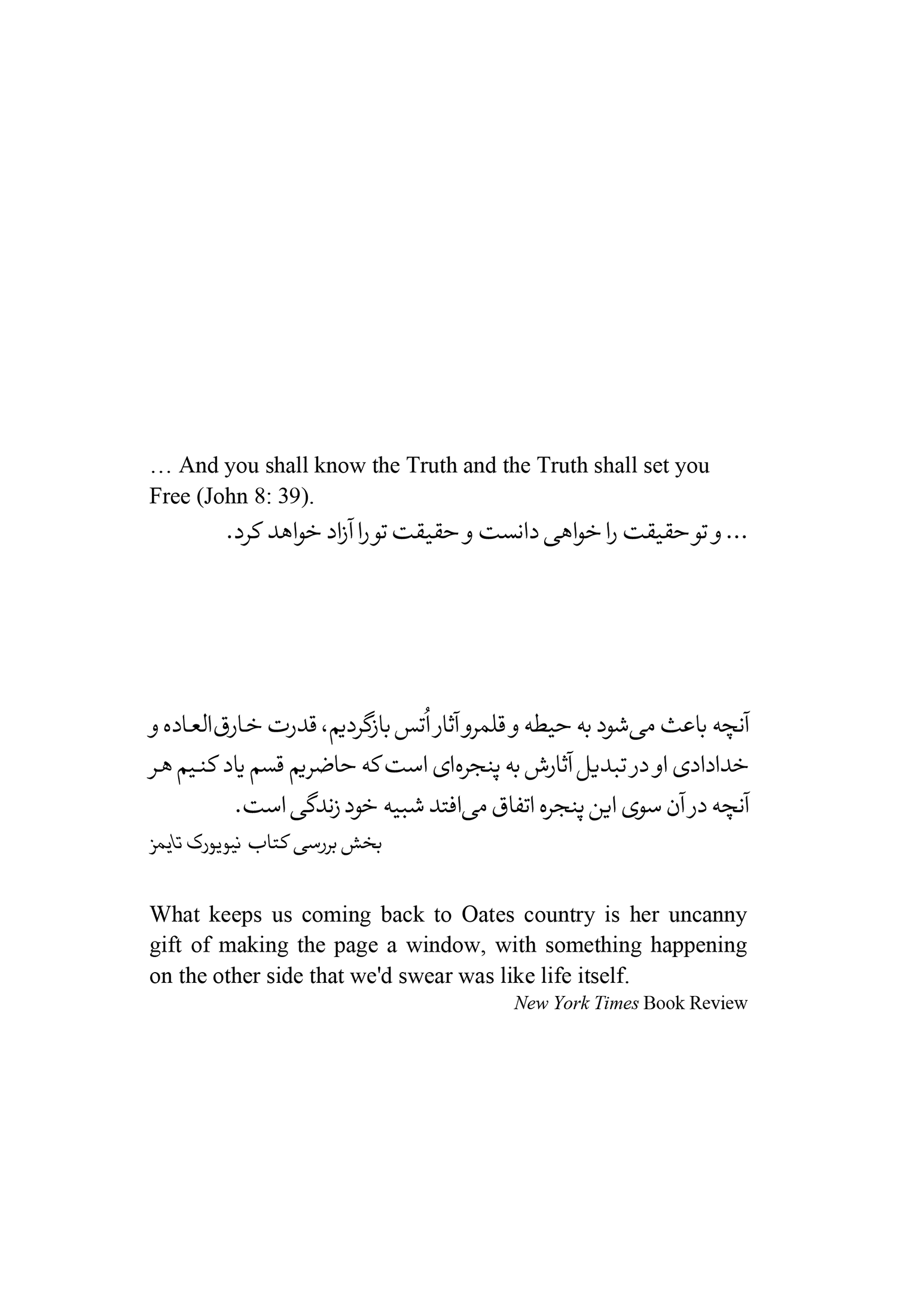 برادر گمشده - Image 3
