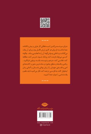 فرزانۀ خلوت گزین - Image 2