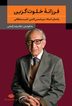 فرزانۀ خلوت گزین