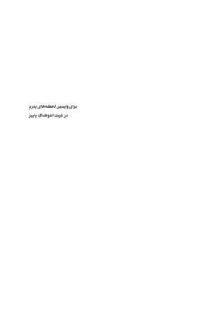 نیمی باد و نیمی پرنده - Image 3